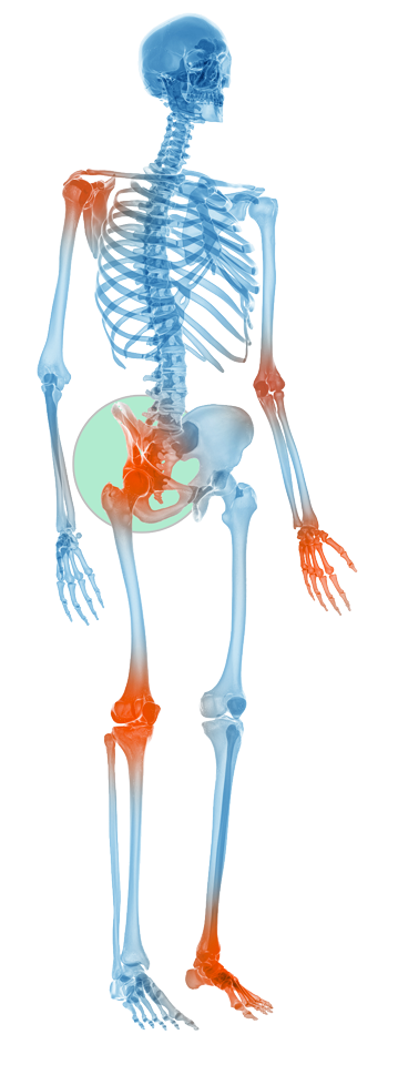 Praticiens Clinique Ostéo Articulaire des Cèdres